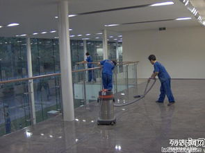 長沙保潔公司中泰家政 15年行業經驗，專業除四害服務